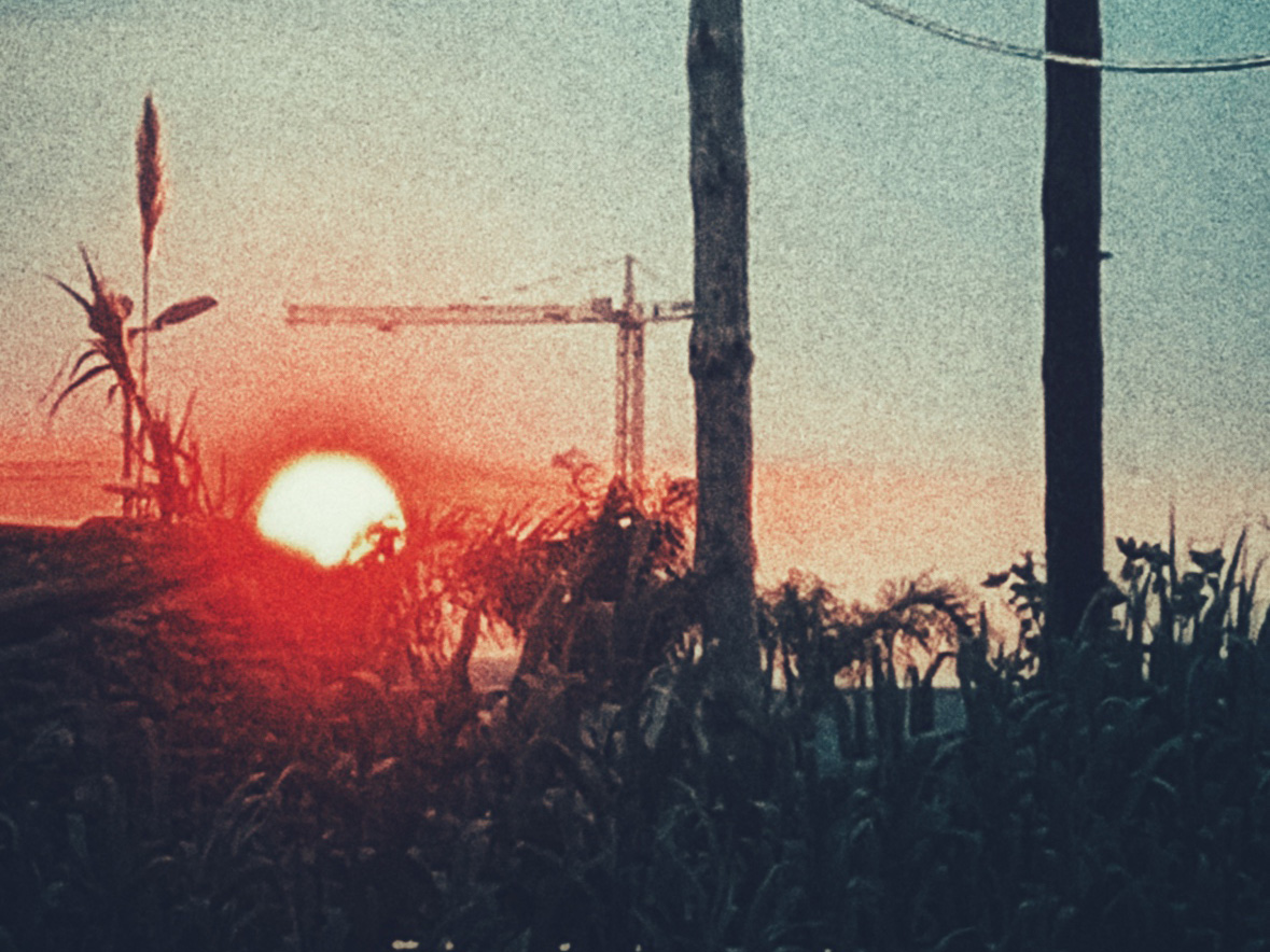 Paisaje 7